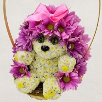Flower hedgehog